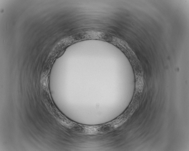 X0000086070701200704202126