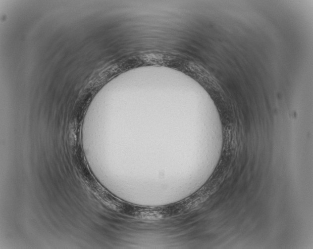 X0000086070702200704202126