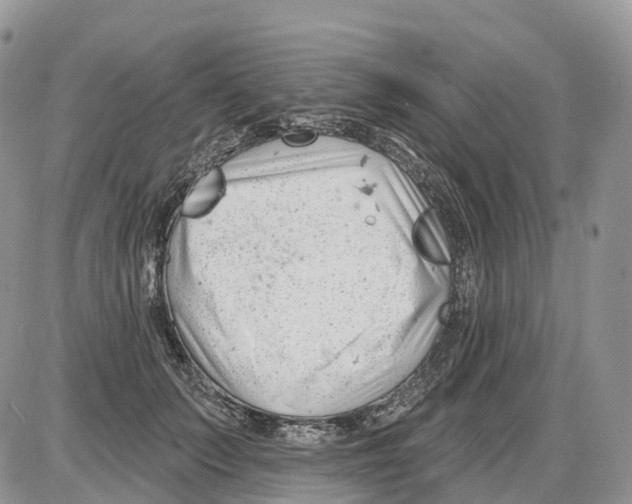 X0000086070703200704202126