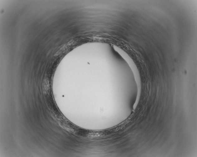 X0000086070704200704202126