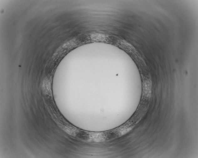 X0000086070705200704202126