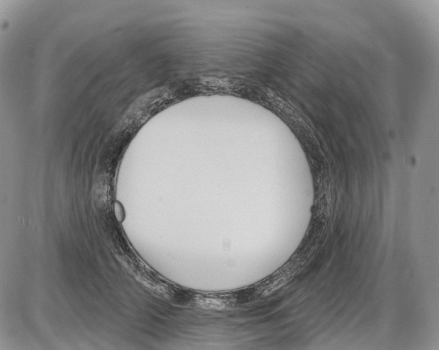 X0000086070706200704202126