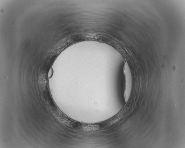 X0000086070707200704202126