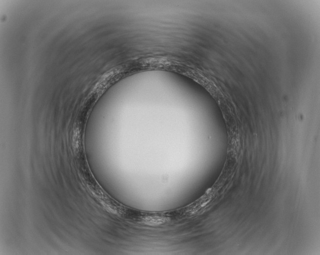 X0000086070708200704202126