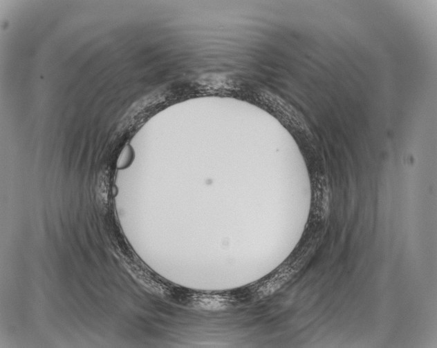 X0000086070710200704202126