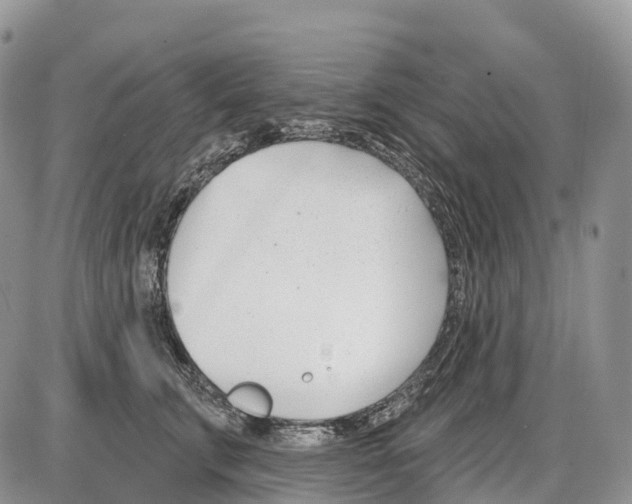 X0000086070711200704202126