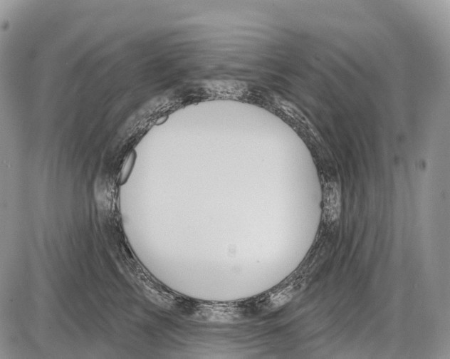 X0000086070713200704202126