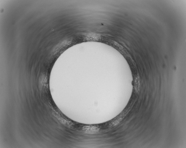 X0000086070714200704202126