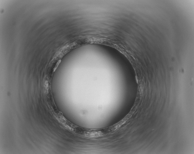 X0000086070716200704202126