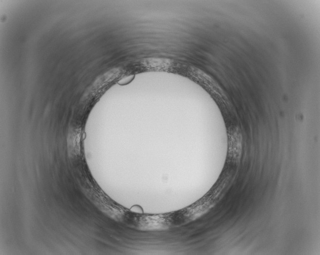 X0000086070717200704202126