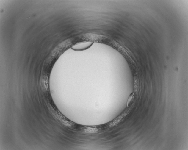 X0000086070718200704202126