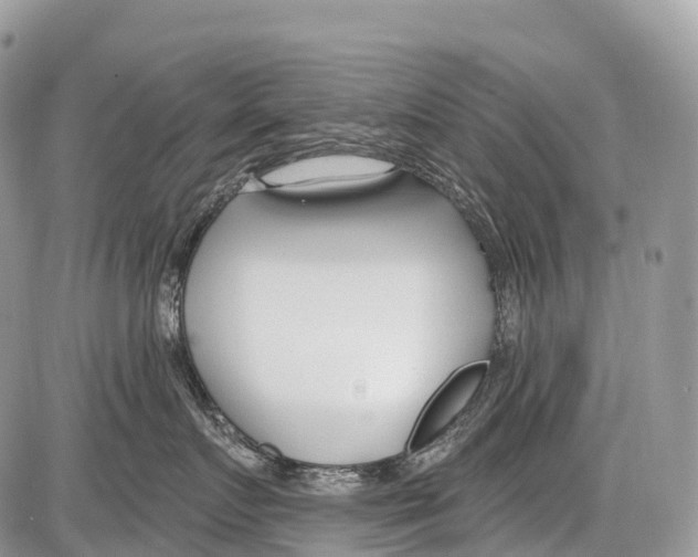 X0000086070719200704202126