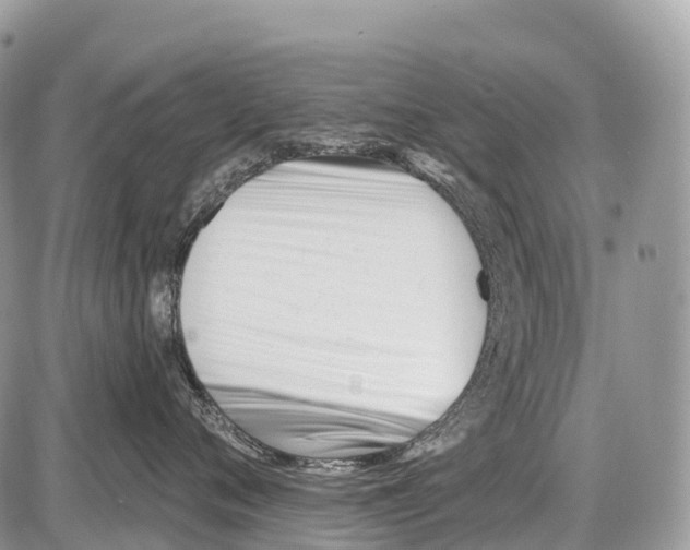 X0000086070720200704202126