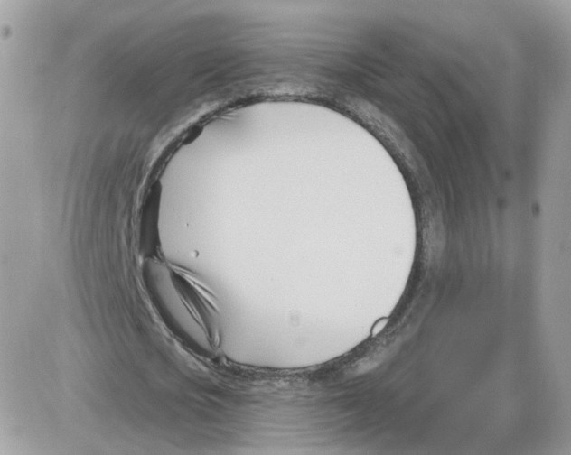 X0000086070721200704202125