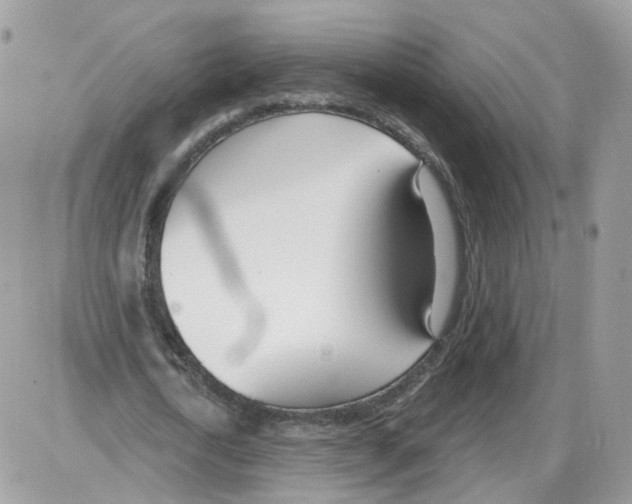 X0000086070722200704202125