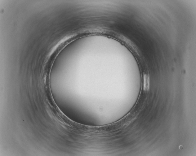 X0000086070723200704202125