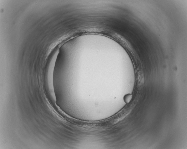 X0000086070725200704202125