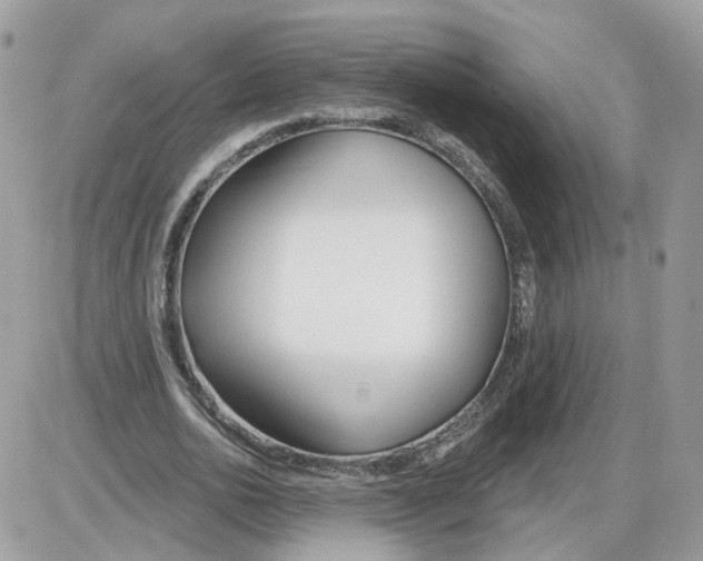 X0000086070726200704202125