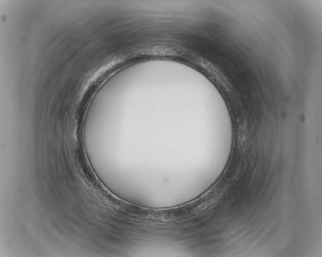 X0000086070727200704202125