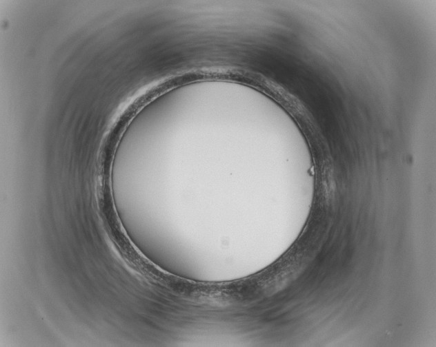 X0000086070728200704202125