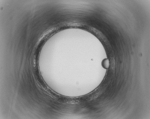 X0000086070731200704202125