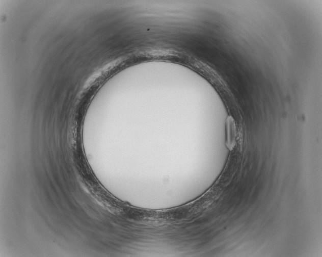 X0000086070732200704202125