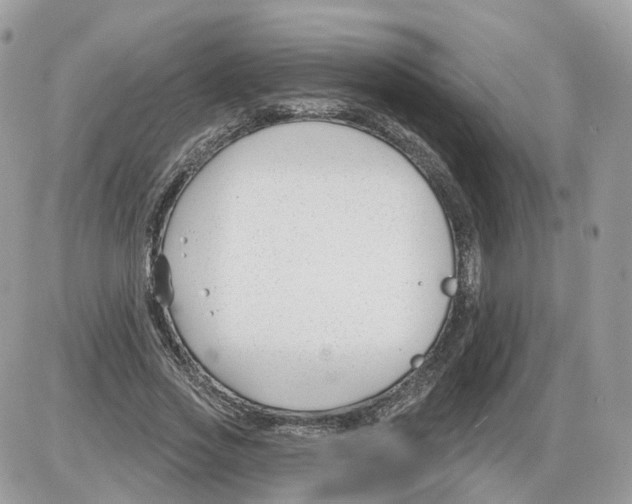 X0000086070733200704202125