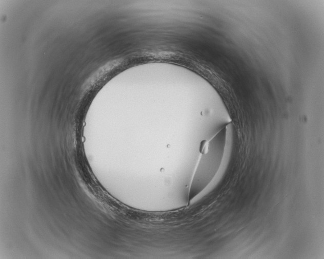 X0000086070734200704202126