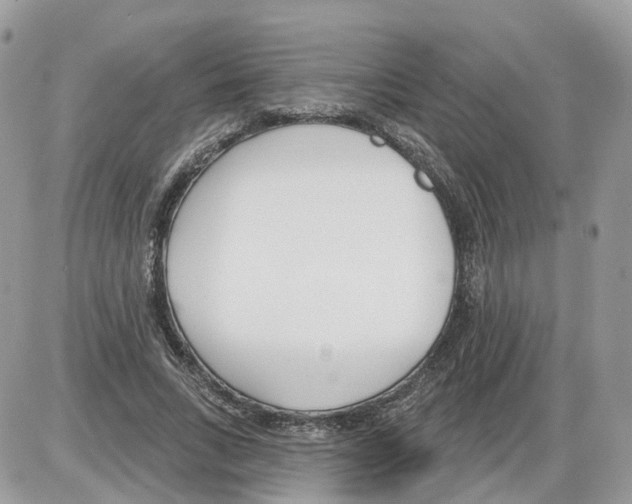 X0000086070735200704202126