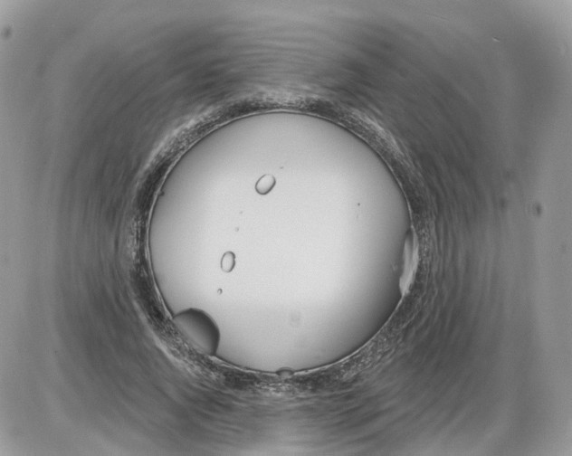 X0000086070736200704202126