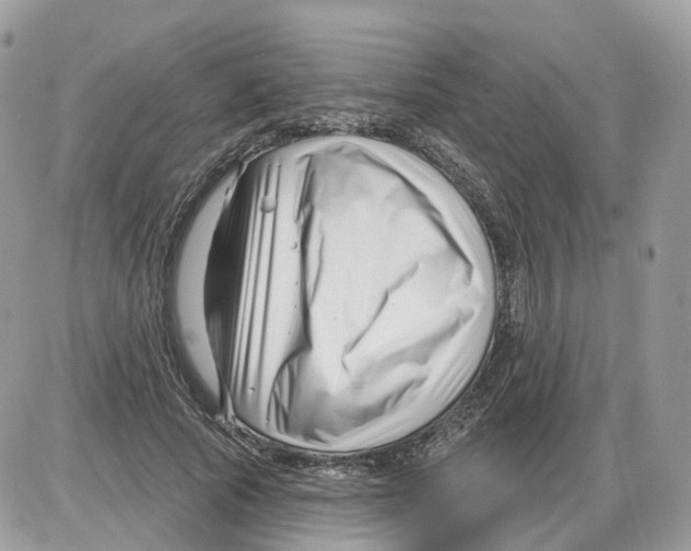 X0000086070737200704202126