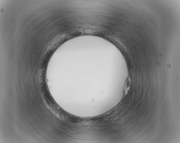 X0000086070738200704202126