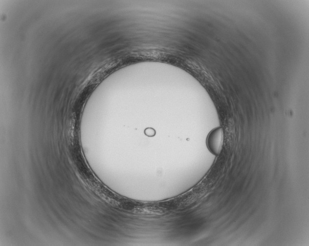 X0000086070739200704202126