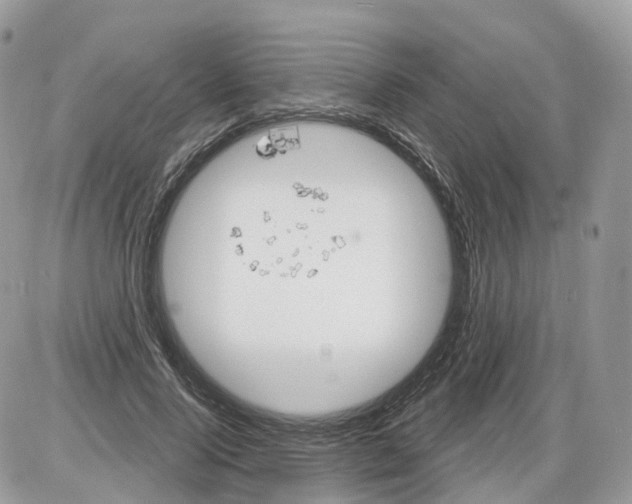 X0000086070740200704202126