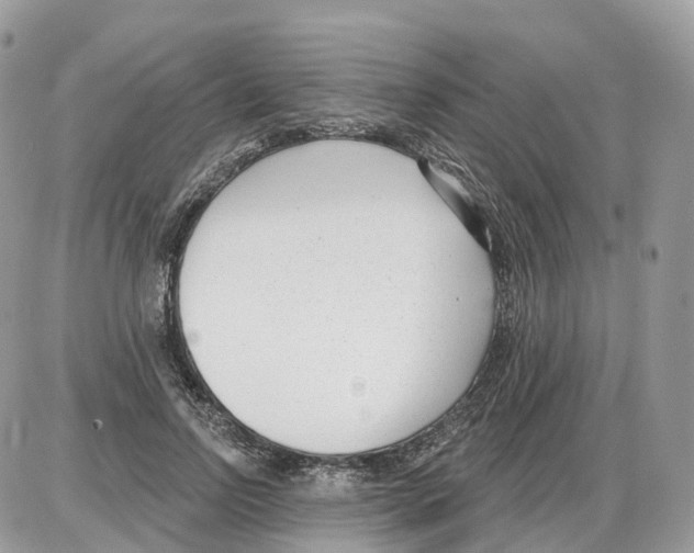 X0000086070742200704202126