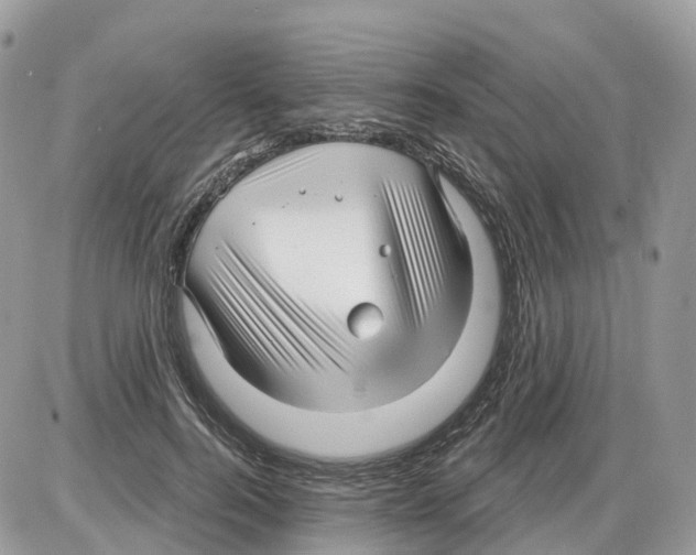 X0000086070744200704202126