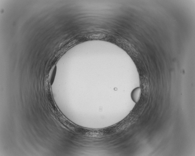 X0000086070745200704202126