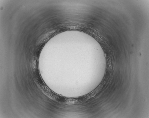 X0000086070746200704202126