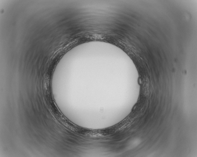 X0000086070747200704202126