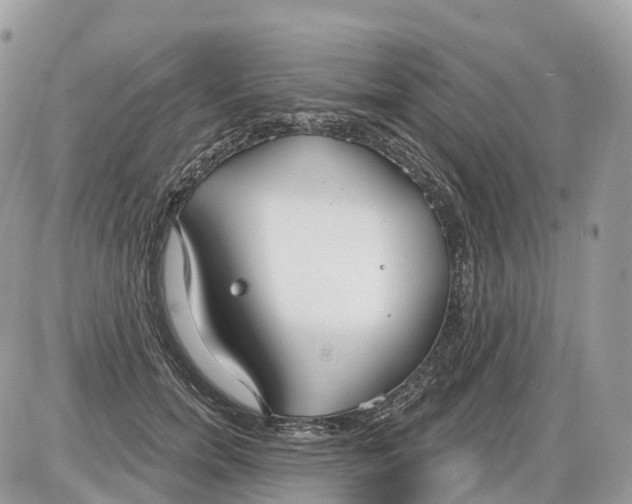 X0000086070750200704202126