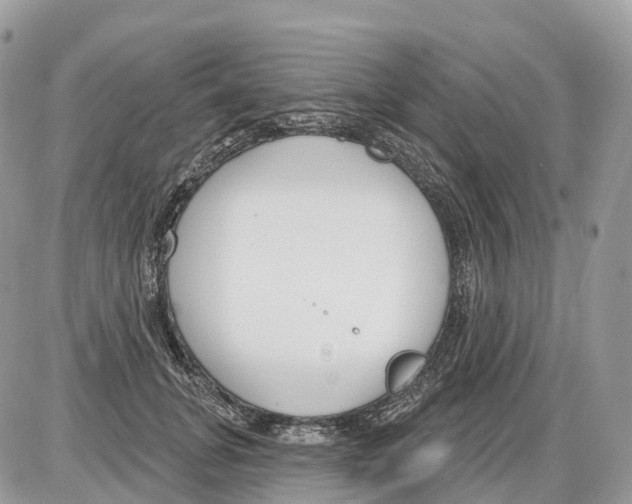 X0000086070751200704202126