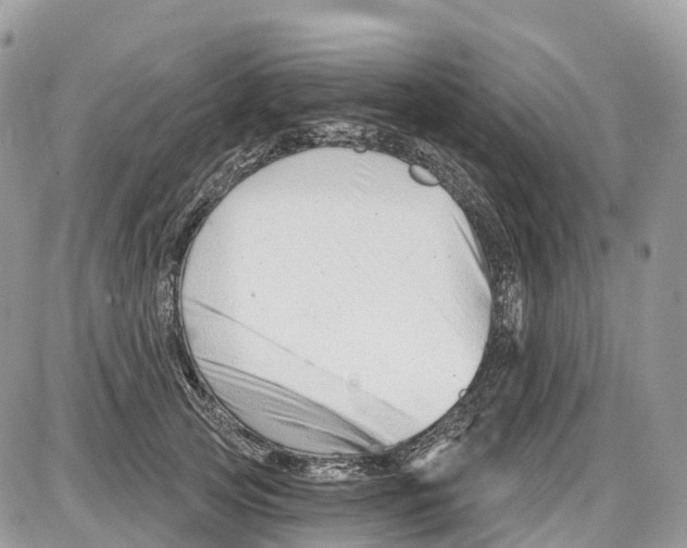 X0000086070753200704202126