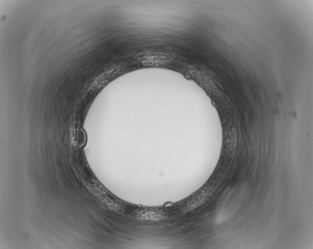 X0000086070755200704202126