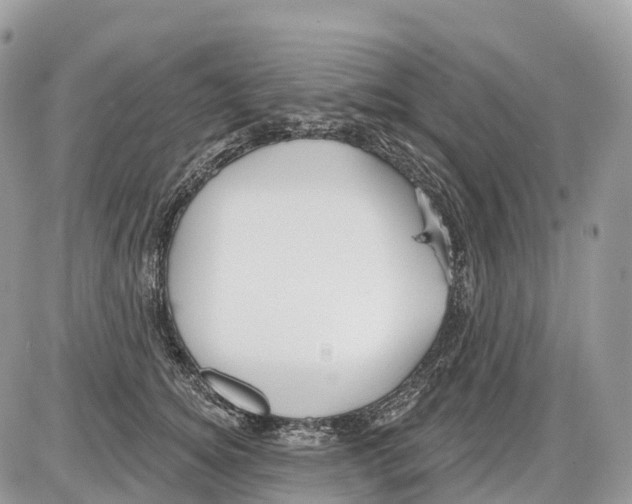 X0000086070756200704202126