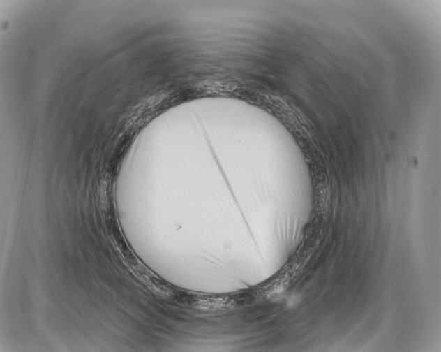 X0000086070757200704202126