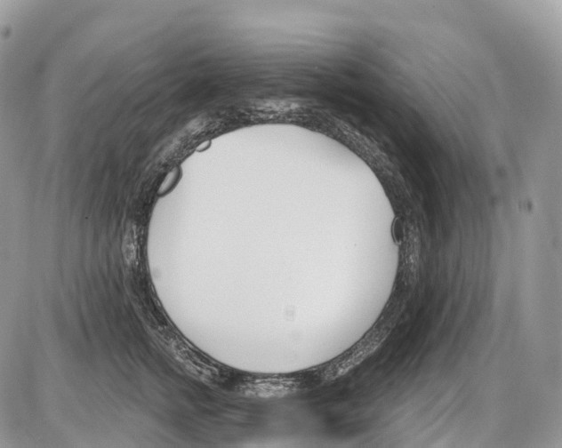 X0000086070758200704202126