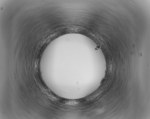 X0000086070759200704202126