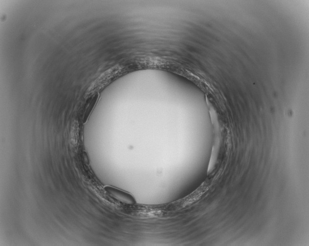 X0000086070760200704202126