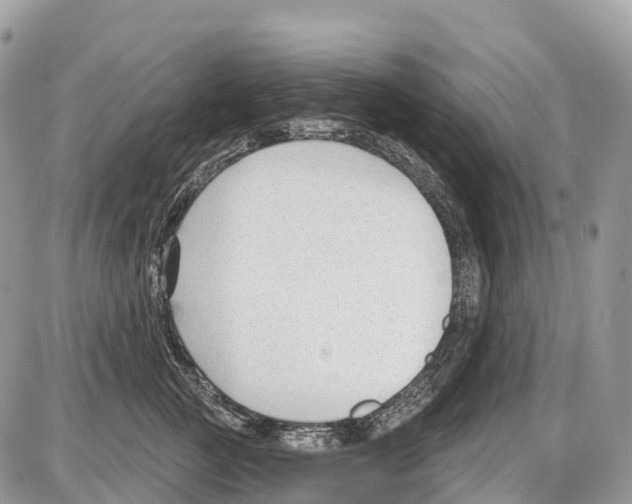 X0000086070761200704202126