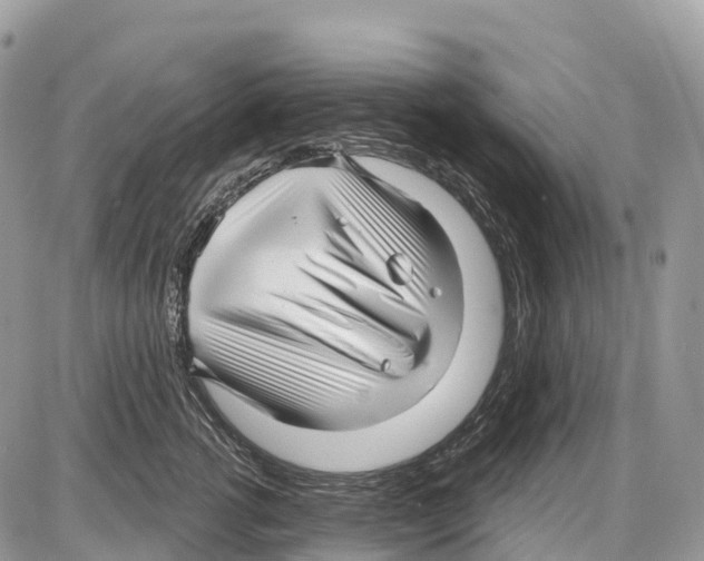 X0000086070762200704202126